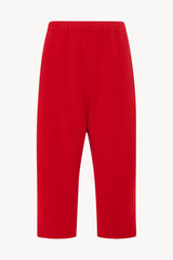 Herea Pant in Cashmere