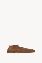 Tyler Lace Up Shoe in Suede