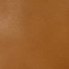 Alger Tote Bag in Leather